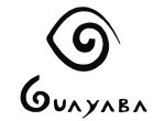Camisas Guayaba